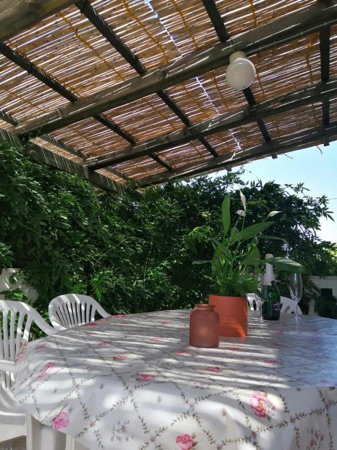 Apartmani Zmiric Primošten Εξωτερικό φωτογραφία
